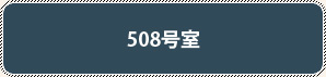 508